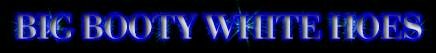 whitehologo.jpg (4774 bytes)